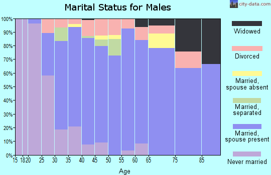 Zip code 30248 marital status for males
