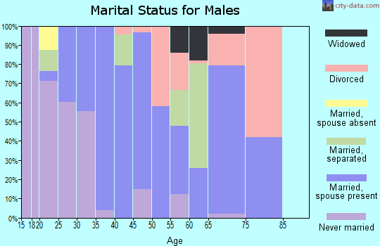 Zip code 30251 marital status for males