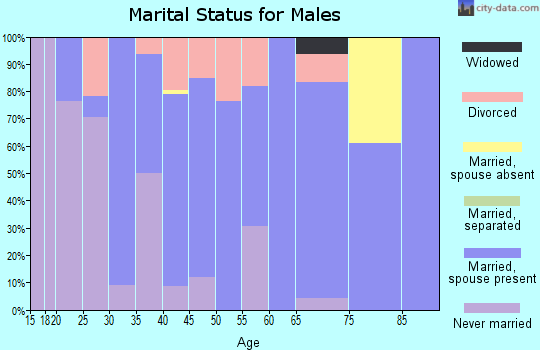 Zip code 30256 marital status for males