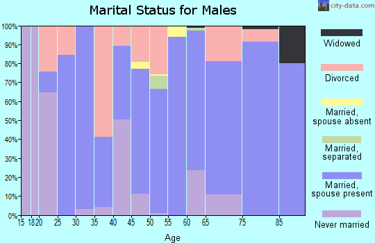 Zip code 30259 marital status for males