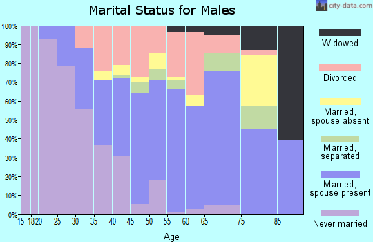 Zip code 30260 marital status for males