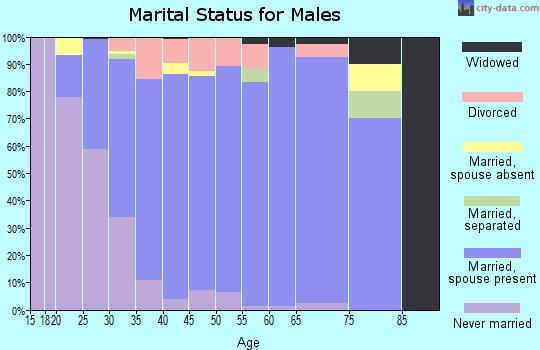 Zip code 30265 marital status for males