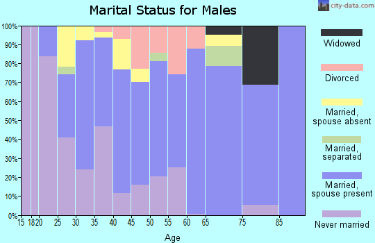 Zip code 30268 marital status for males