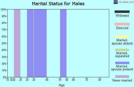 Zip code 30275 marital status for males