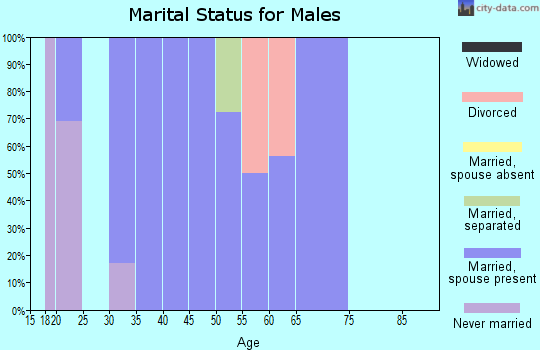 Zip code 30285 marital status for males