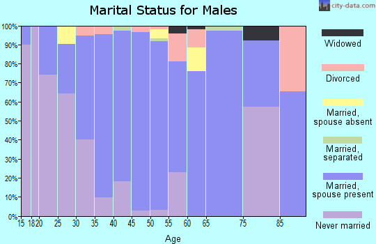 Zip code 30290 marital status for males