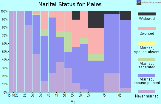 Zip code 30291 marital status for males
