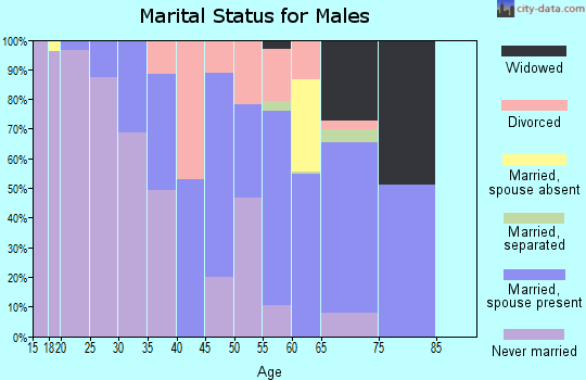 Zip code 30293 marital status for males