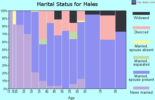 Zip code 30295 marital status for males