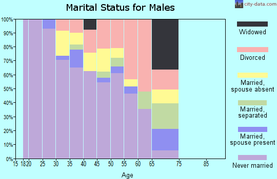 Zip code 30303 marital status for males