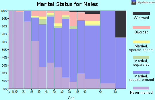 Zip code 30307 marital status for males