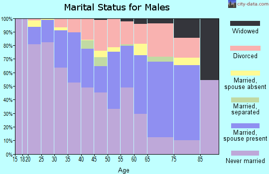 Zip code 30309 marital status for males