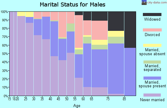 Zip code 30311 marital status for males
