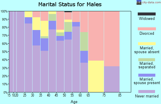 Zip code 30313 marital status for males