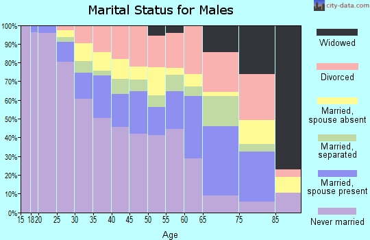 Zip code 30315 marital status for males