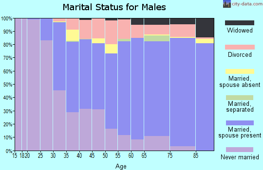 Zip code 30319 marital status for males