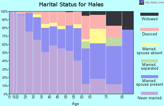 Zip code 30324 marital status for males