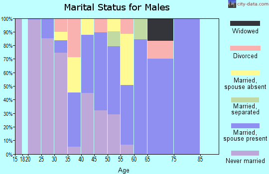Zip code 30326 marital status for males