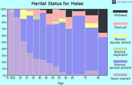 Zip code 30328 marital status for males