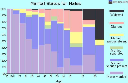 Zip code 30329 marital status for males