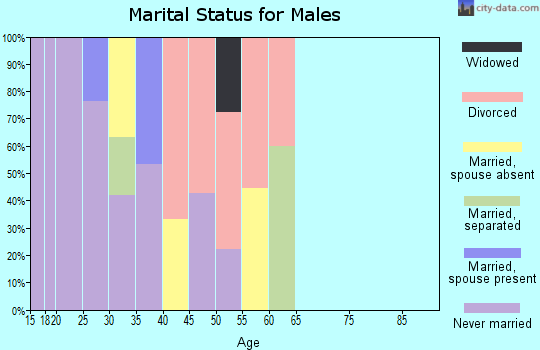 Zip code 30336 marital status for males