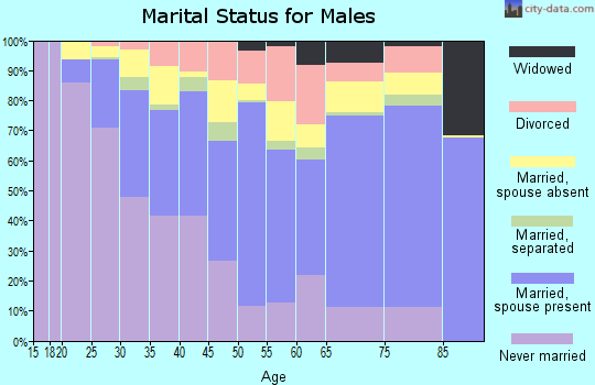 Zip code 30340 marital status for males