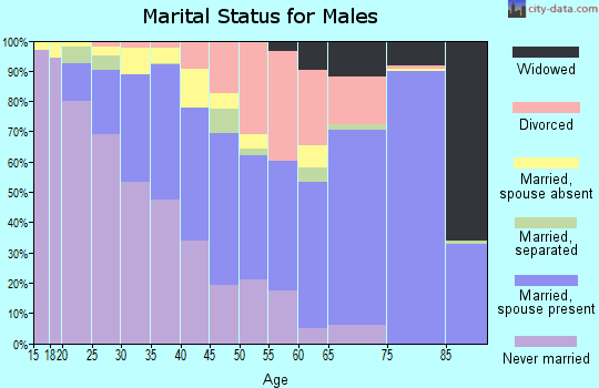Zip code 30341 marital status for males