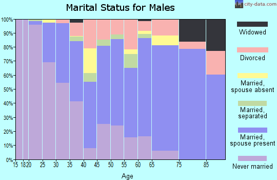 Zip code 30345 marital status for males