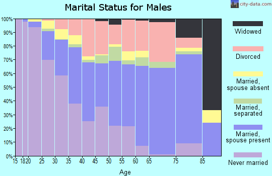 Zip code 30349 marital status for males