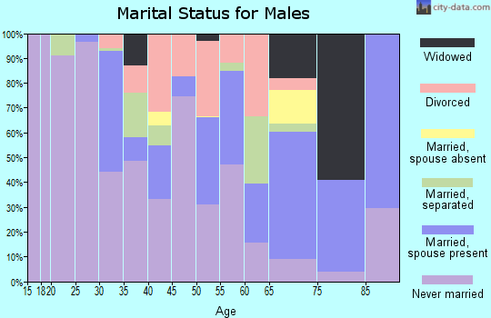 Zip code 30354 marital status for males