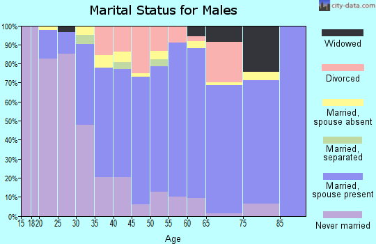 Zip code 30360 marital status for males