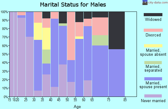 Zip code 30410 marital status for males