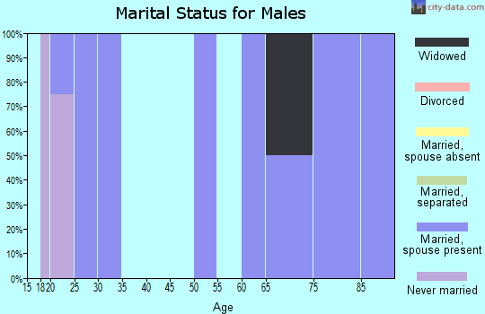 Zip code 30412 marital status for males