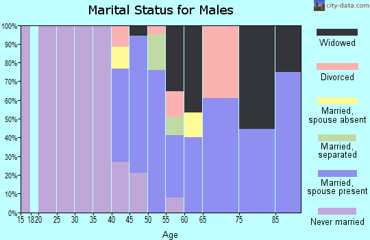 Zip code 30413 marital status for males
