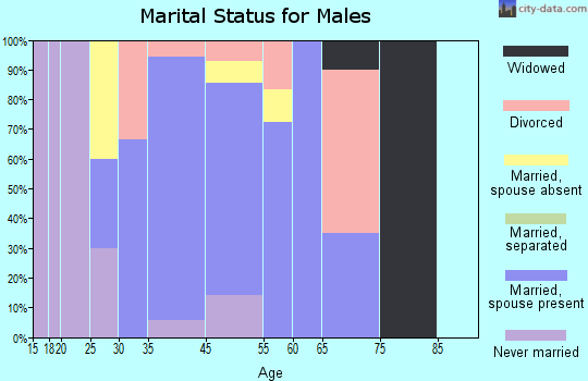 Zip code 30414 marital status for males