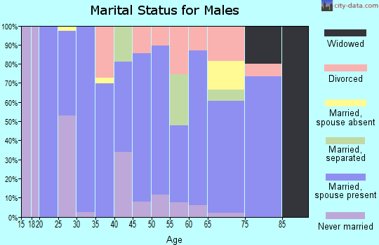 Zip code 30428 marital status for males