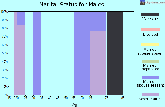 Zip code 30429 marital status for males