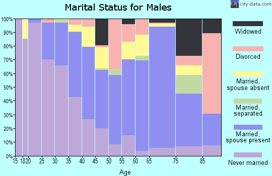 Zip code 30434 marital status for males