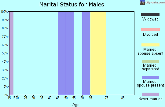 Zip code 30438 marital status for males