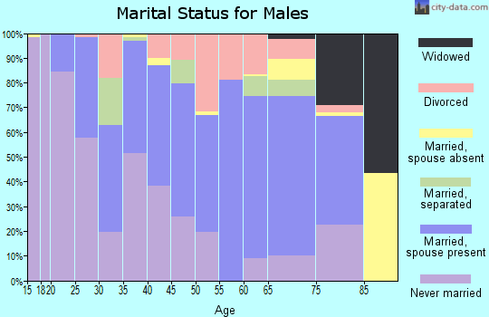 Zip code 30439 marital status for males
