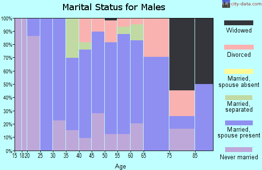 Zip code 30441 marital status for males