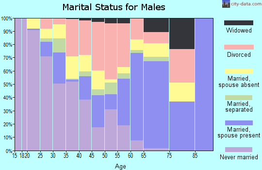 Zip code 30453 marital status for males