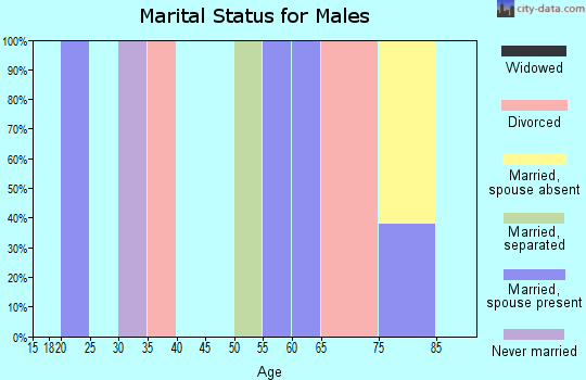 Zip code 30454 marital status for males