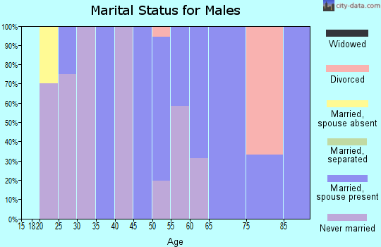Zip code 30455 marital status for males