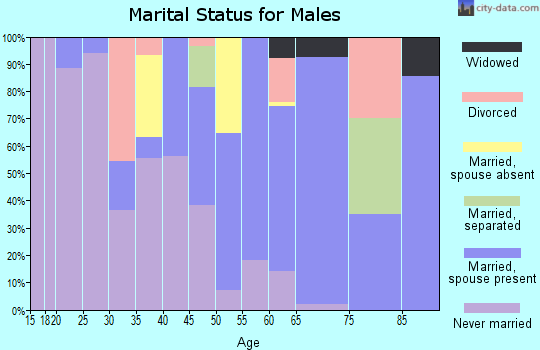 Zip code 30456 marital status for males