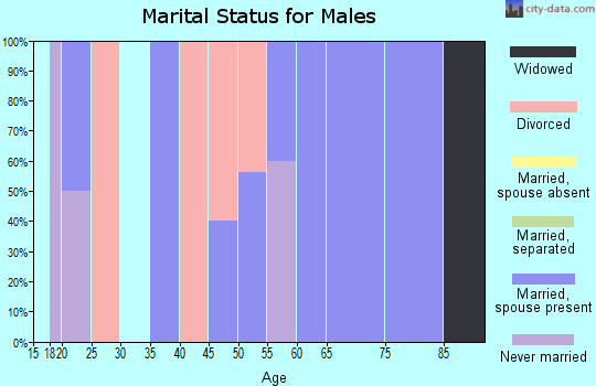 Zip code 30470 marital status for males