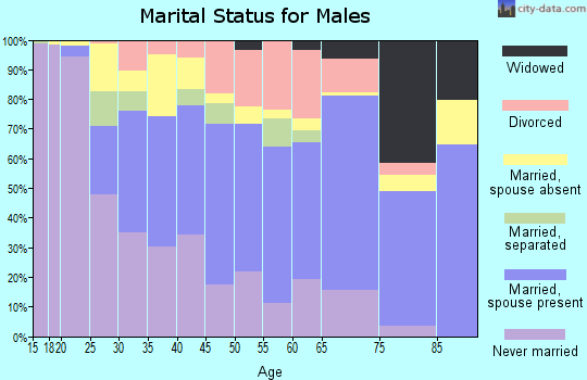 Zip code 30501 marital status for males