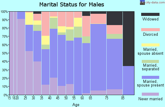 Zip code 30504 marital status for males