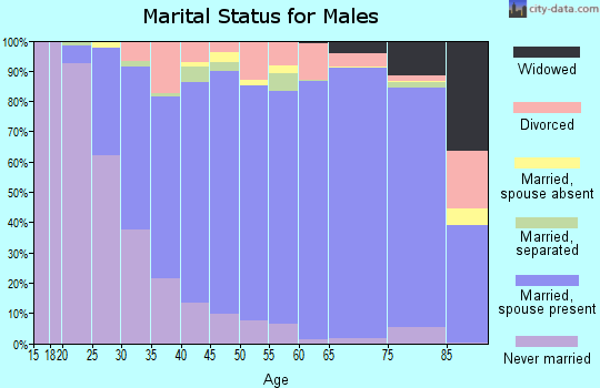 Zip code 30506 marital status for males