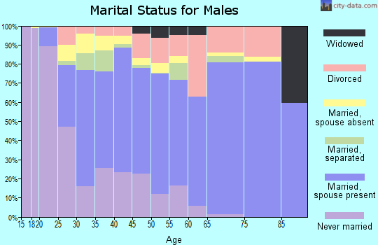 Zip code 30507 marital status for males